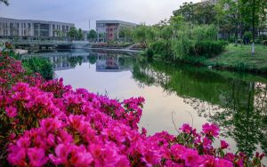 笔记本散热器十大排名_笔记本 散热