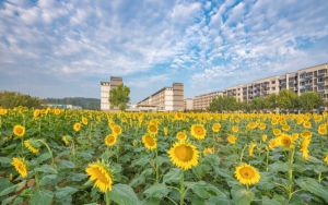 100m宽带下载速度多少正常？100M宽带下载速度10M怎么回事
