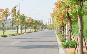 煤气灶自动熄火怎么办_煤气灶自动熄火