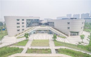 闲鱼如何激活买家保障这个功能_闲鱼需要激活买家保障服务吗