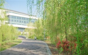 如何安装无线路由器的视频教程_如何安装无线路由器