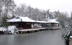苹果id密码是什么_苹果id密码要求