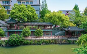 网络刺客2_网络刺客ii