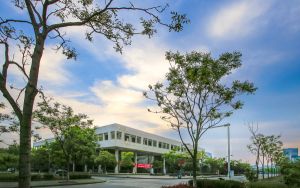 路由器与猫的连接图解不用电脑_路由器与猫的连接