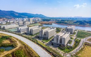 phaser3155使用说明_phaser3117_phaser3117使用说明