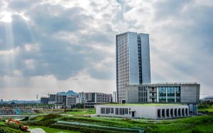 LV为华为P30 Pro定制了一款黑色对开保护套
