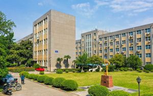 2022年一千元左右最好的手机_千元性价比高的智能手机排行榜