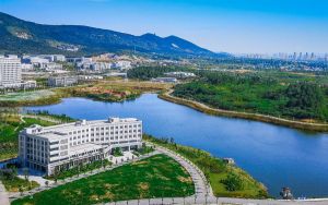 最省流量的手机浏览器_什么手机浏览器比较省流量