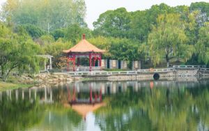 苹果xr与11的区别2020_苹果xr与11的区别