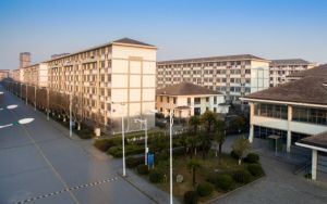 迅雷app会员账号共享_迅雷会员账号共享吧